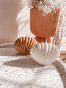 Large Shell Candles